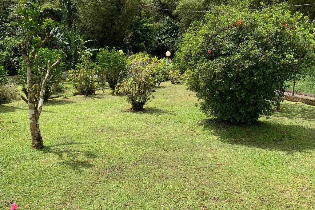 972B-Coin De Verdure Au Pied De La Montagne Pelee Le Morne-Rouge Dış mekan fotoğraf