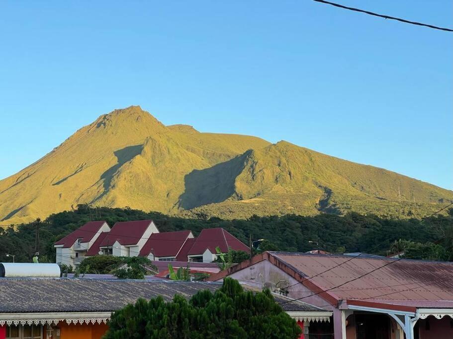 972B-Coin De Verdure Au Pied De La Montagne Pelee Le Morne-Rouge Dış mekan fotoğraf
